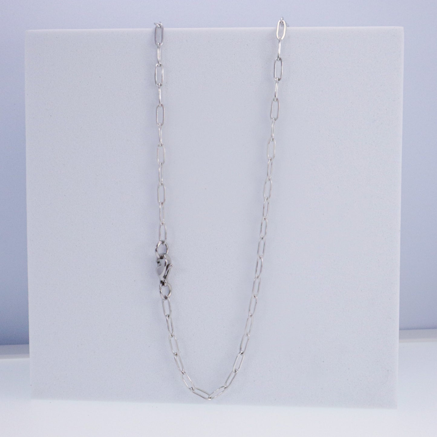 Cowrie Shell & Stainless Steel Staple Chain Necklace