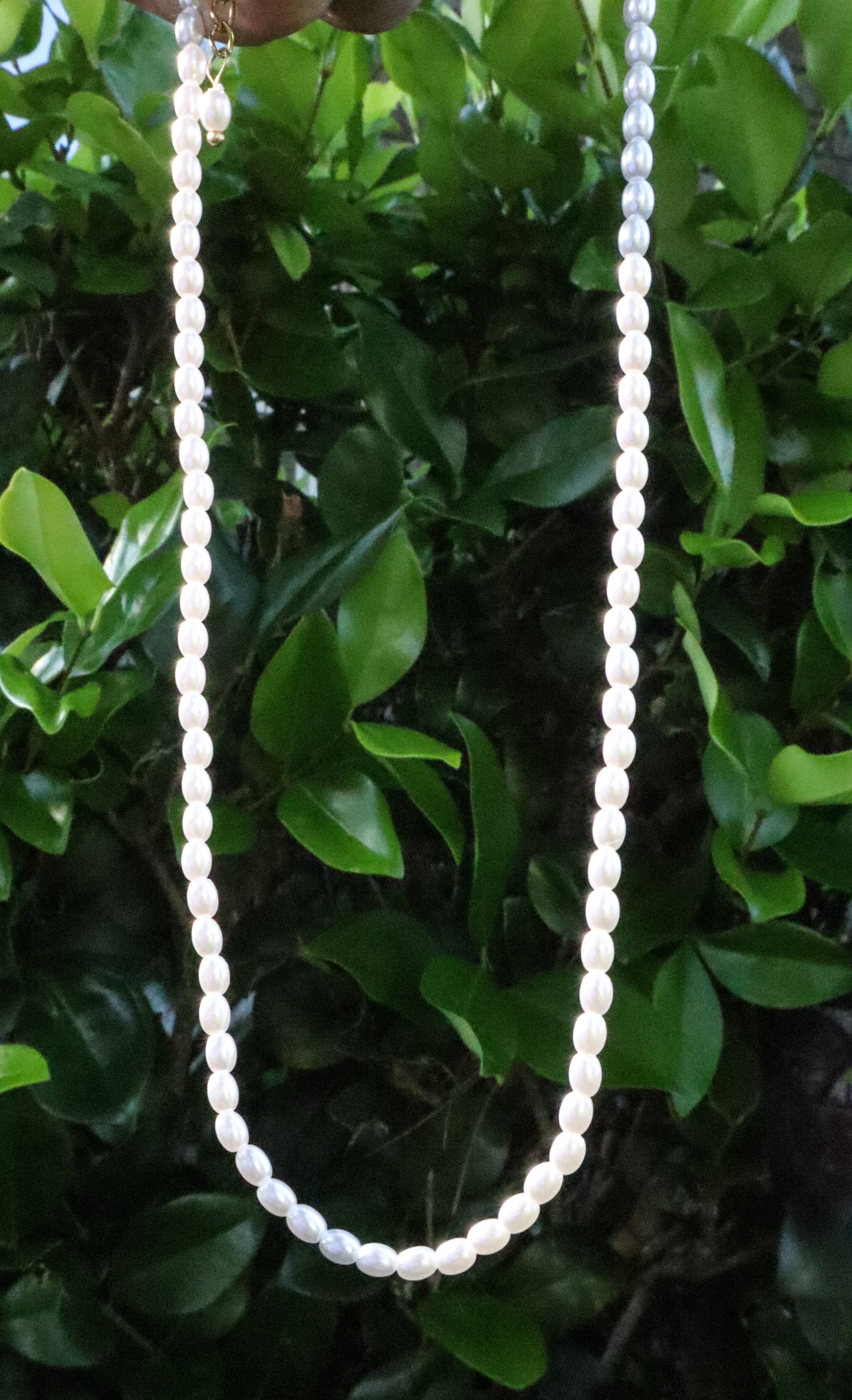 Pearl Beaded Necklace