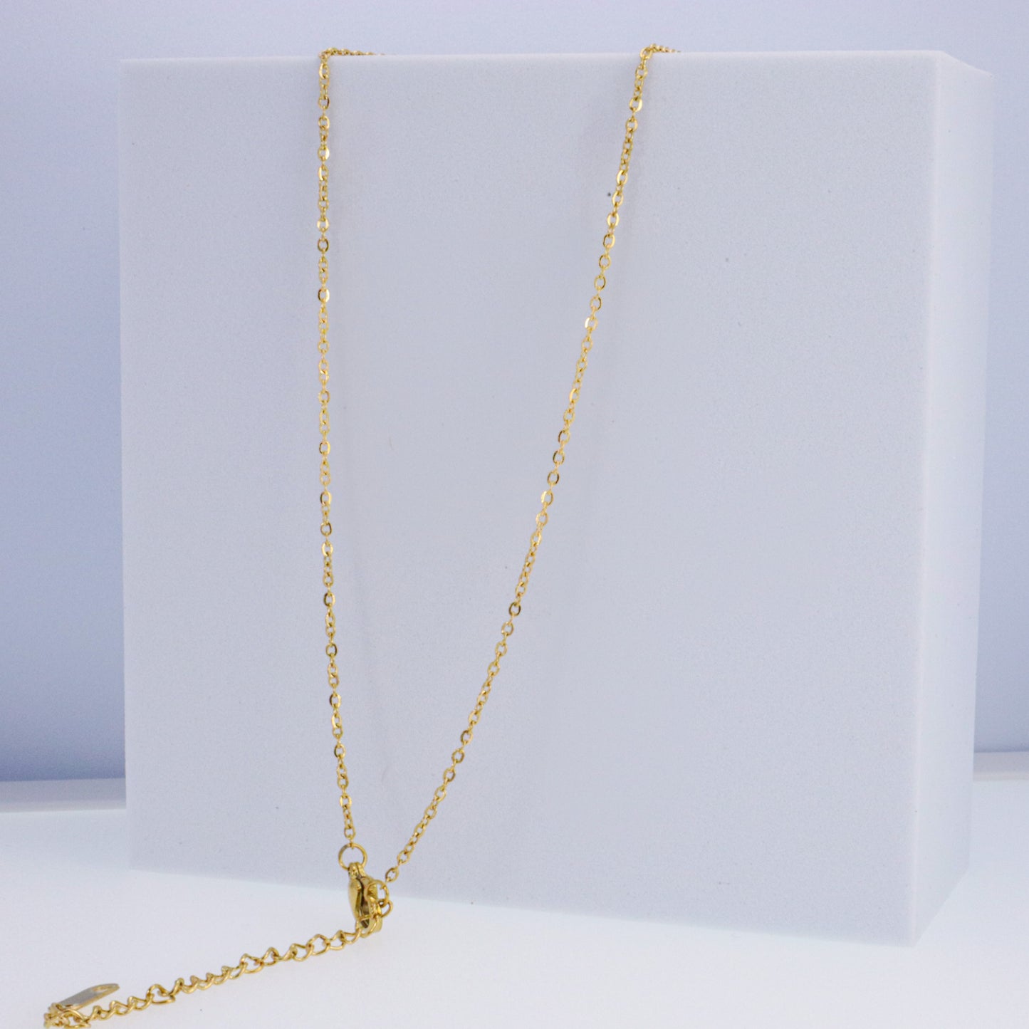 Delicate Calico Scallop Shell & 14k Gold over Stainless Steel Necklace