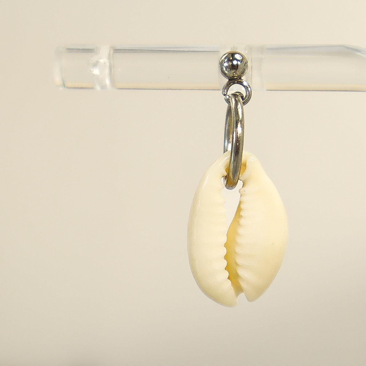 Silver Cowrie Shell Post Earrings