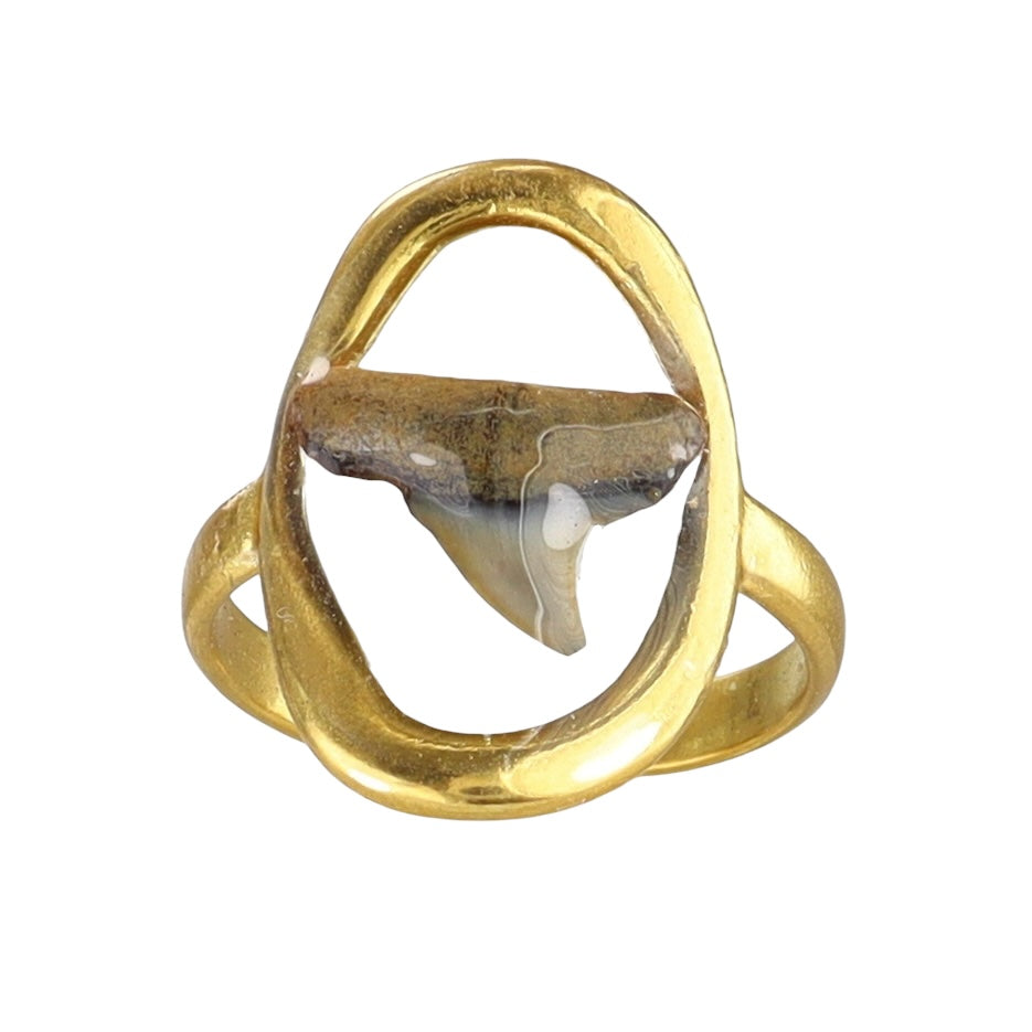 Prehistoric Venice Shark Tooth Fossil Ring