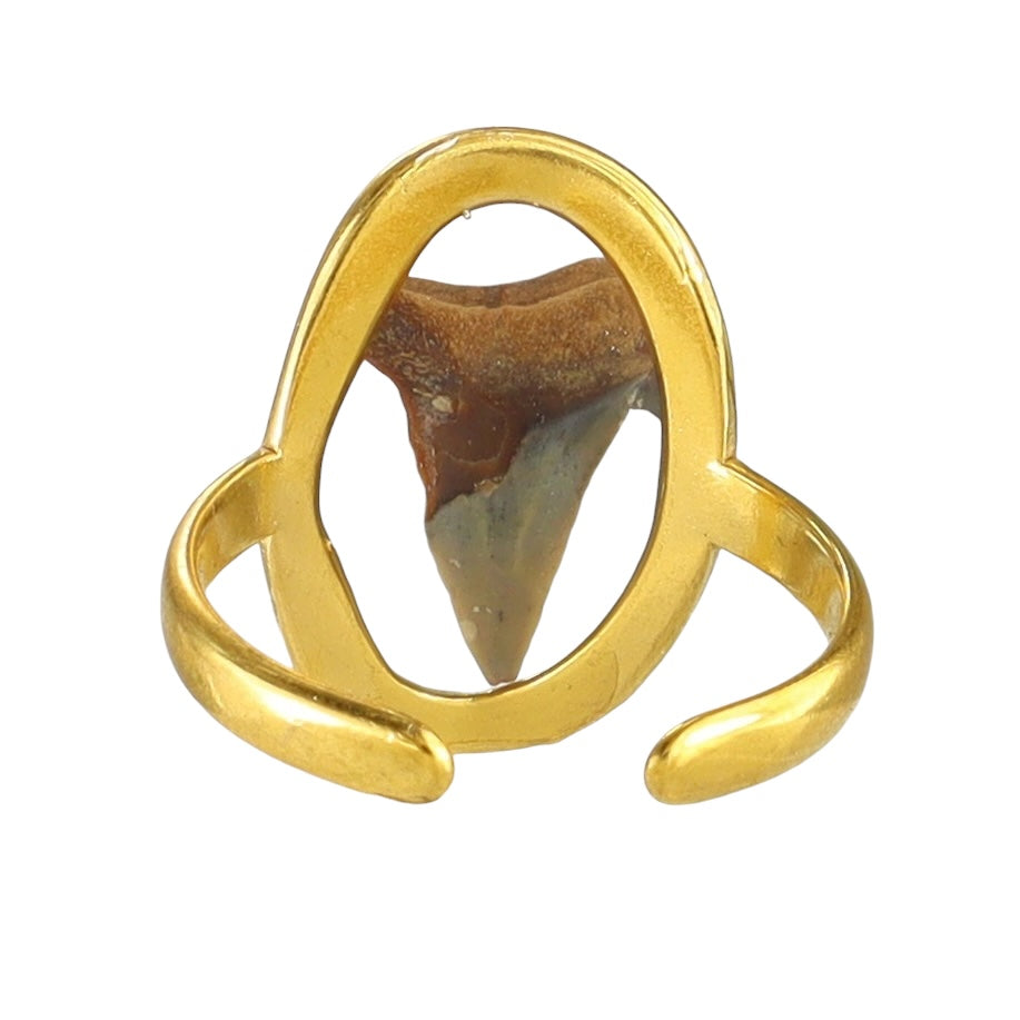 Prehistoric Venice Shark Tooth Fossil Ring