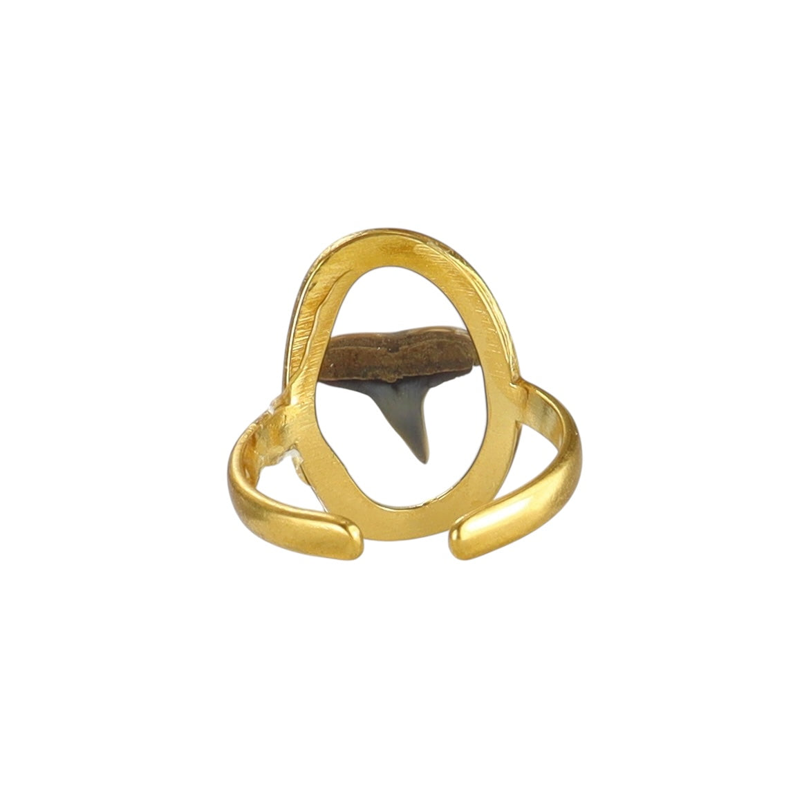 Prehistoric Venice Shark Tooth Fossil Ring