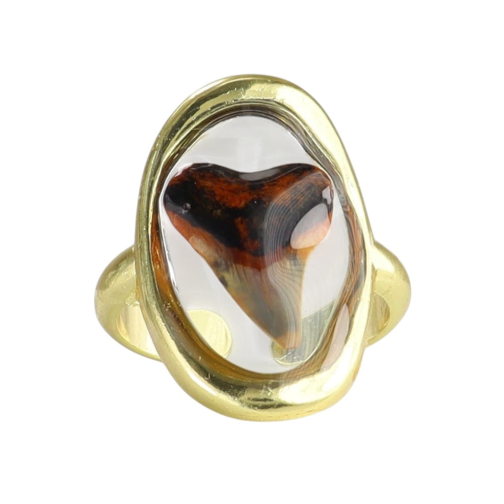 Red Hue Prehistoric Venice Shark Tooth Fossil Ring