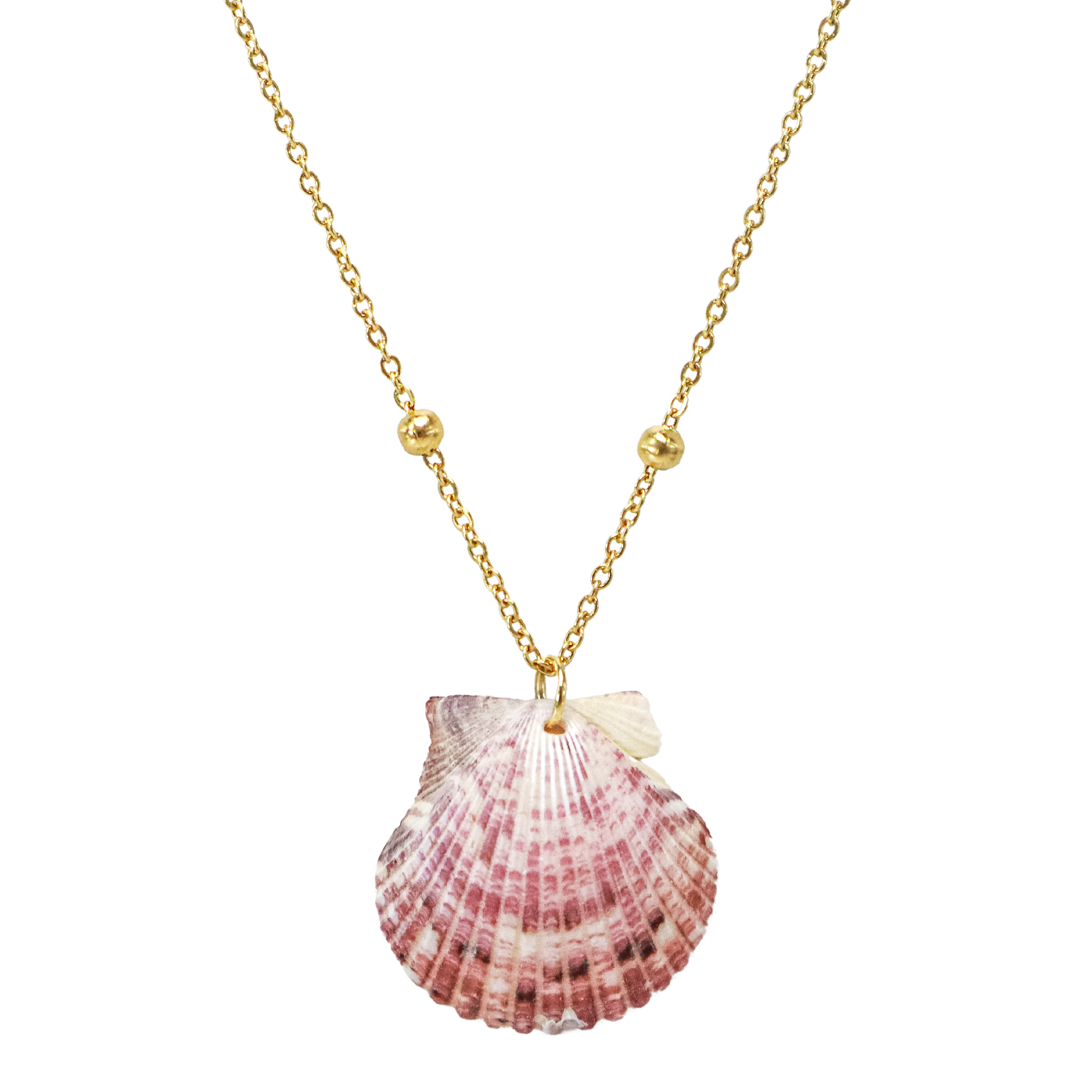 Carolina’s Tiny Shell Necklace