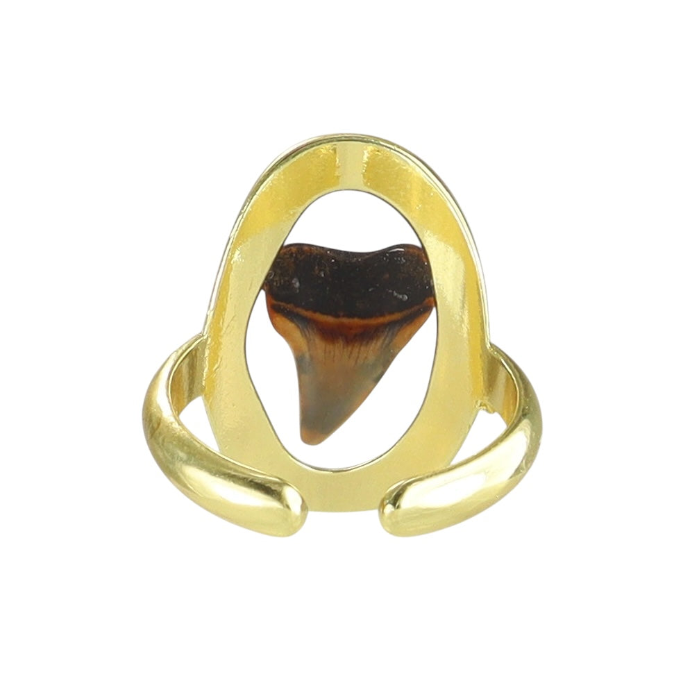 Red Hue Prehistoric Venice Shark Tooth Fossil Ring