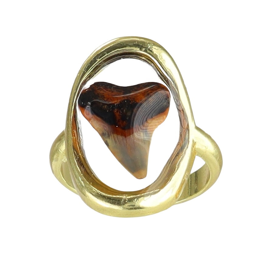 Red Hue Prehistoric Venice Shark Tooth Fossil Ring