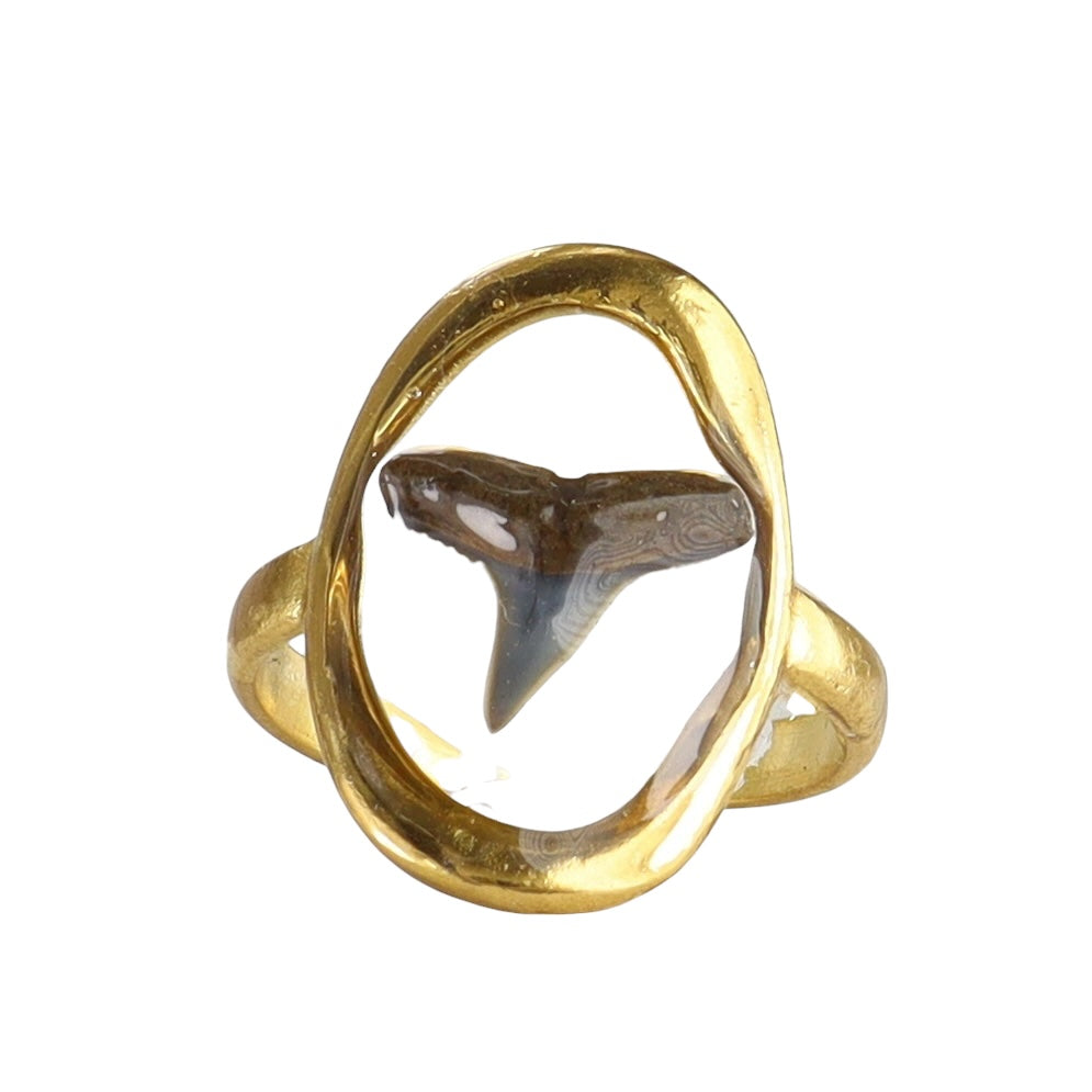 Prehistoric Venice Shark Tooth Fossil Ring