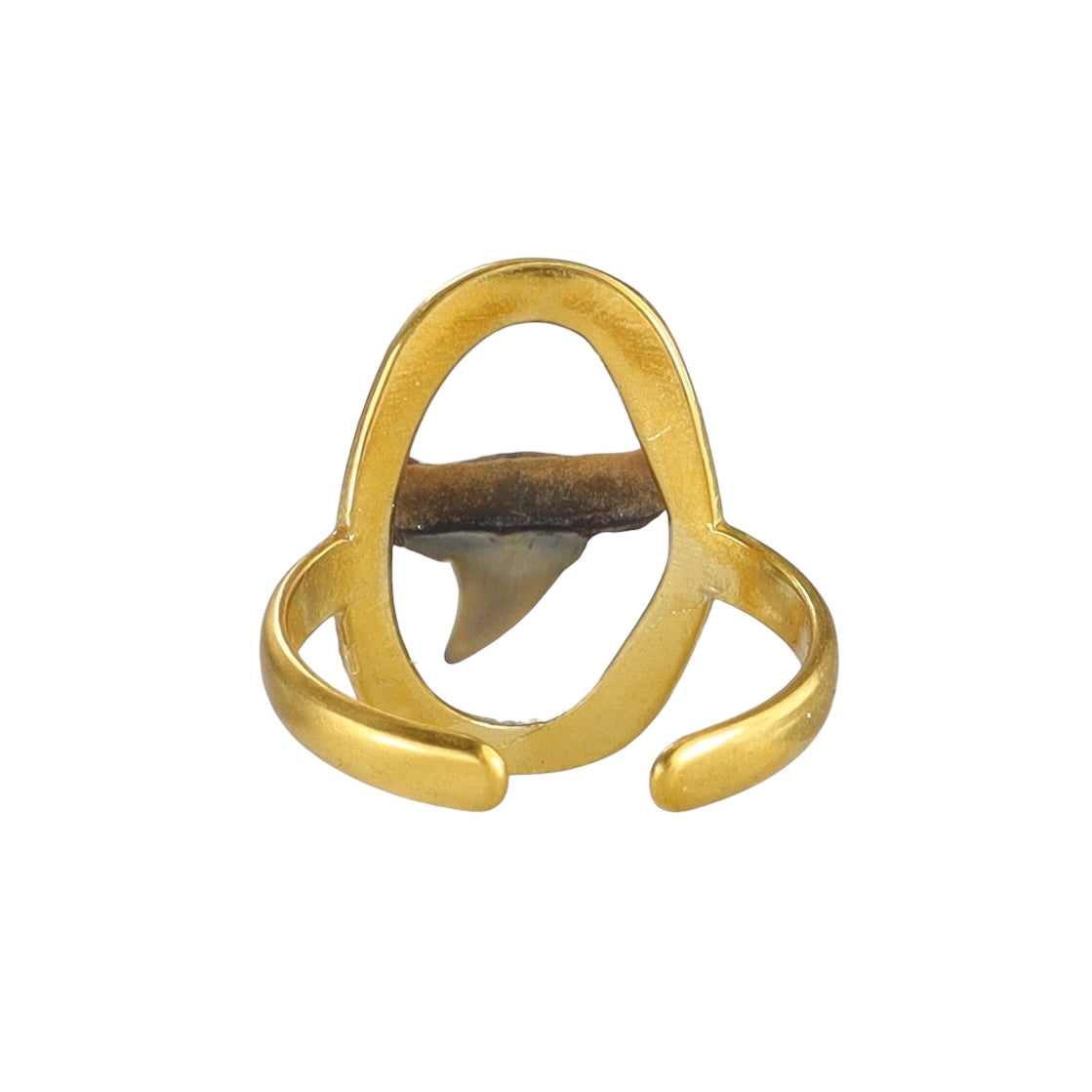 Prehistoric Venice Shark Tooth Fossil Ring