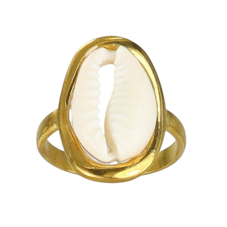 Pristine Cowrie Shell Ring