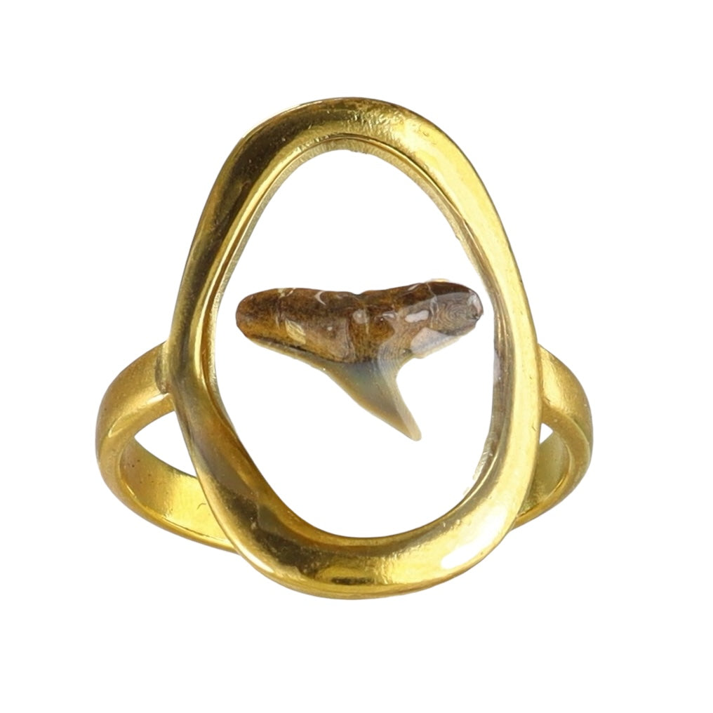 Prehistoric Venice Shark Tooth Fossil Ring