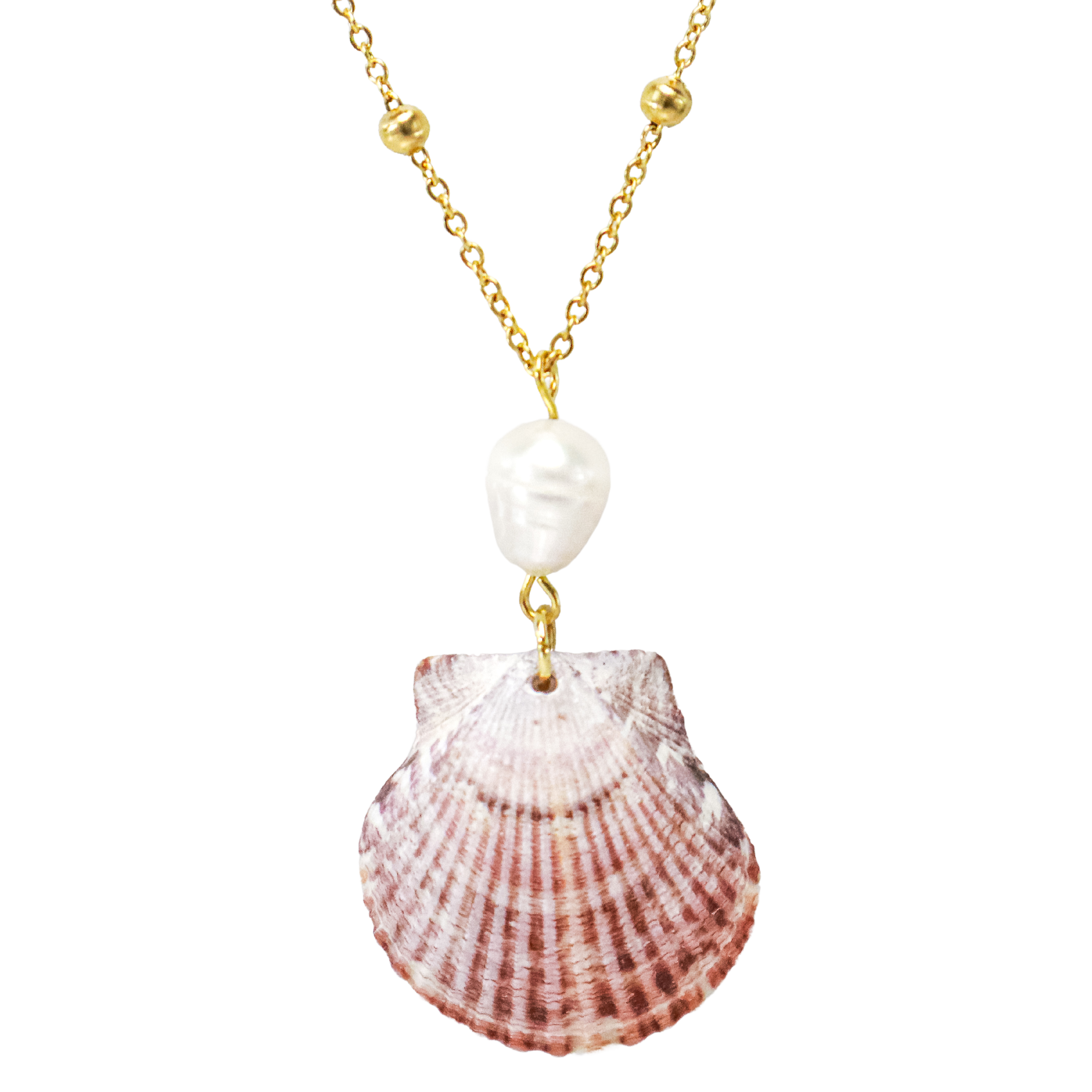 Evie’s Shell Necklace