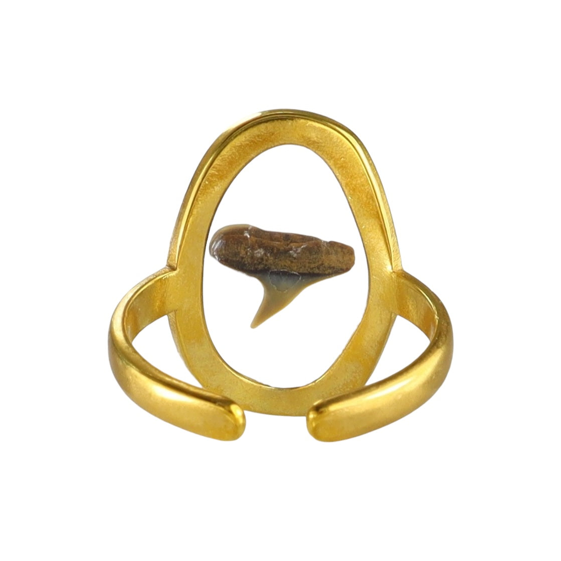 Prehistoric Venice Shark Tooth Fossil Ring