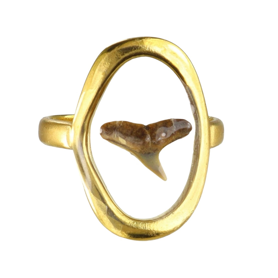 Prehistoric Venice Shark Tooth Fossil Ring
