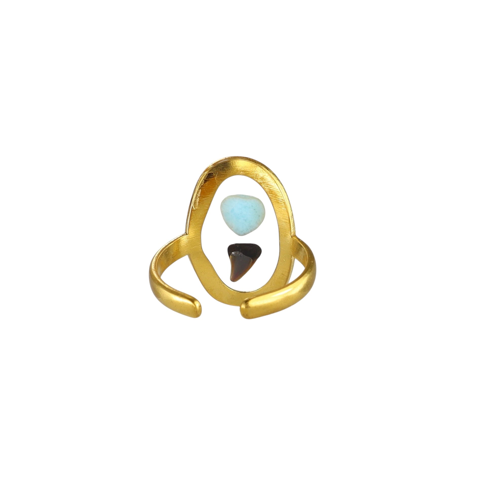Prehistoric Venice Shark Tooth & Genuine Larimar Ring