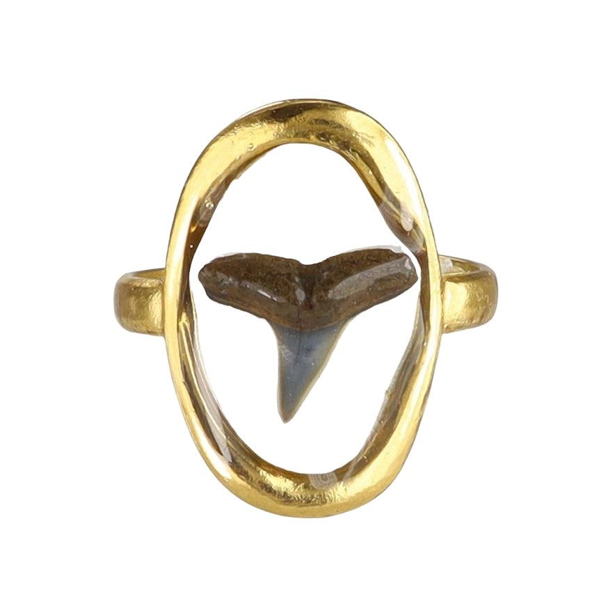 Prehistoric Venice Shark Tooth Fossil Ring