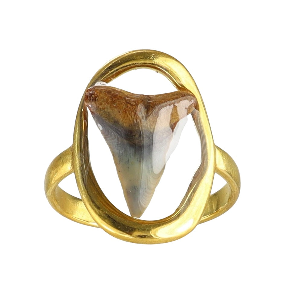 Prehistoric Venice Shark Tooth Fossil Ring