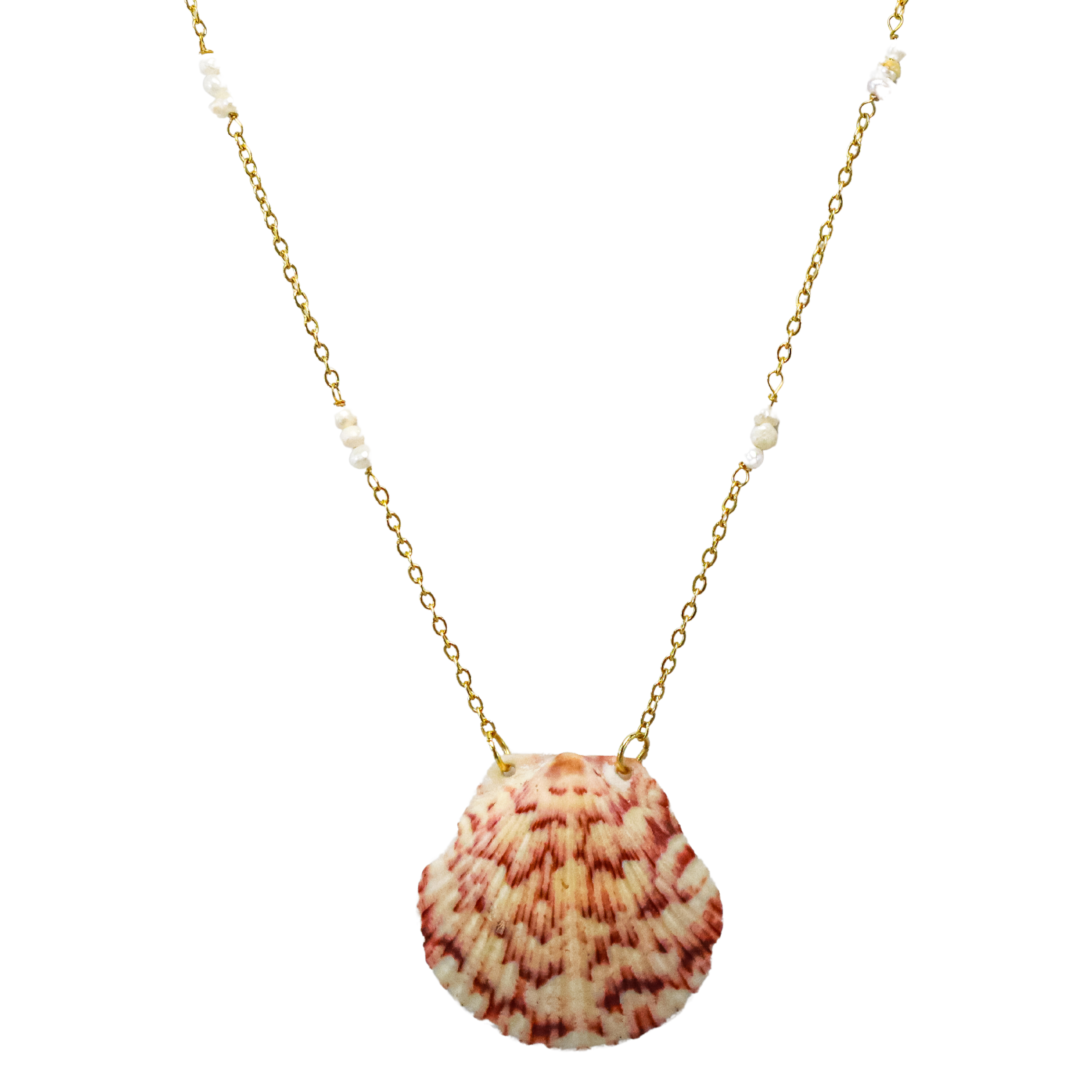 Kahlani’s Shell Necklace
