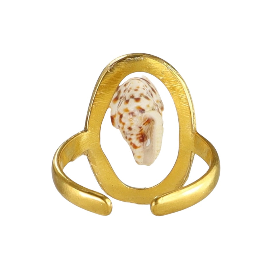 Spotted Dove Shell Ring