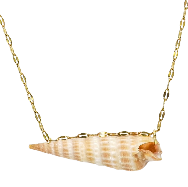 Allana’s Shell Necklace