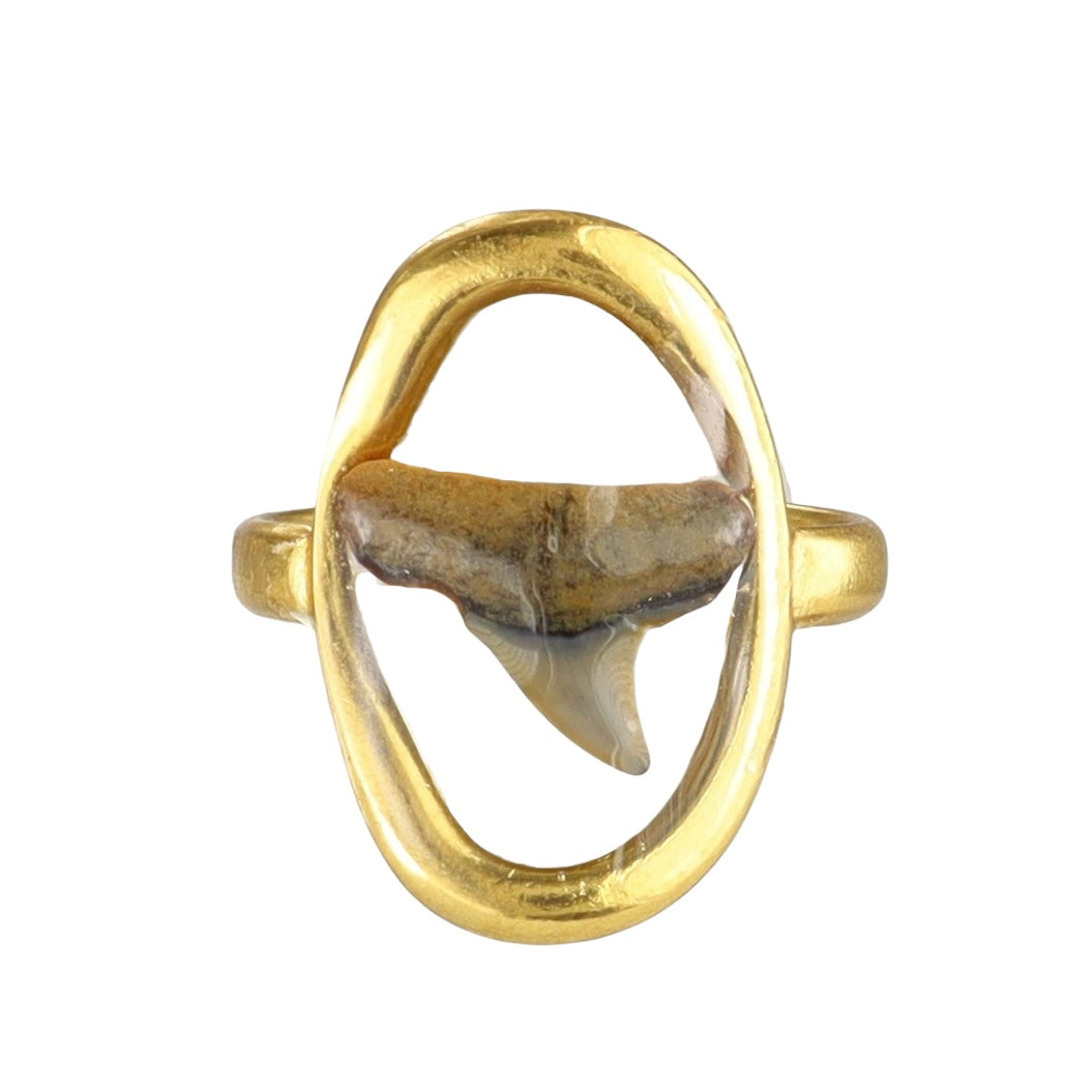 Prehistoric Venice Shark Tooth Fossil Ring