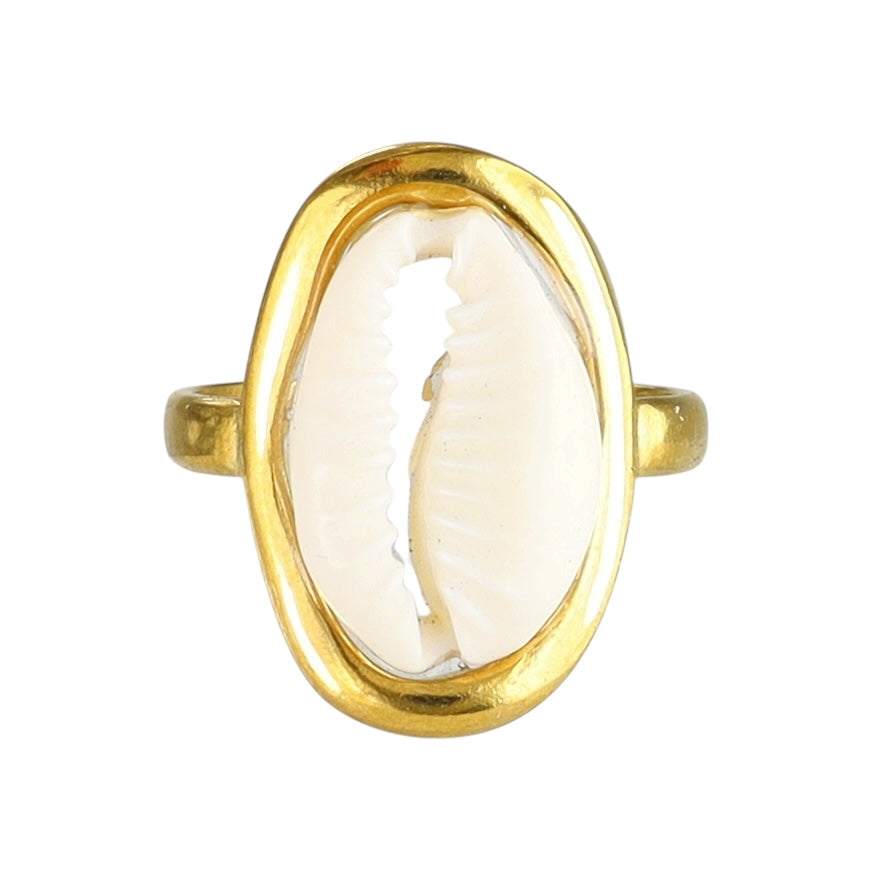 Pristine Cowrie Shell Ring