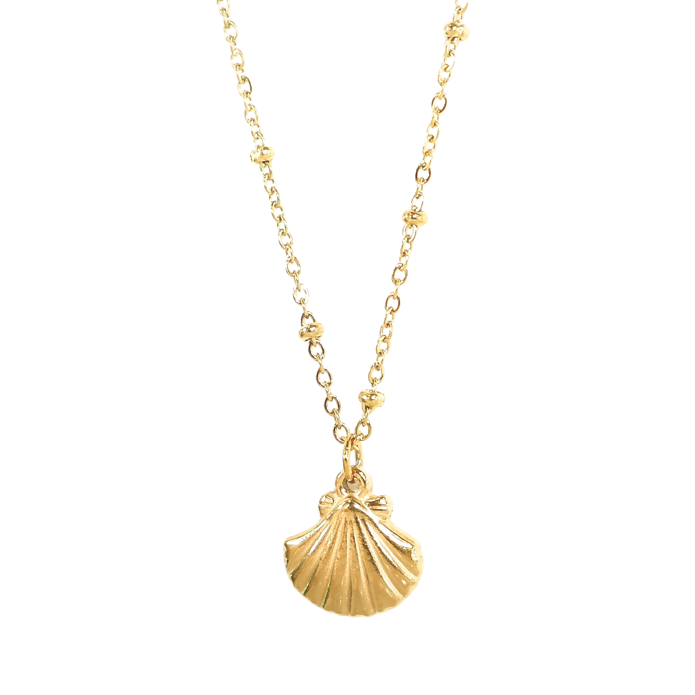 Gold Shell Necklace