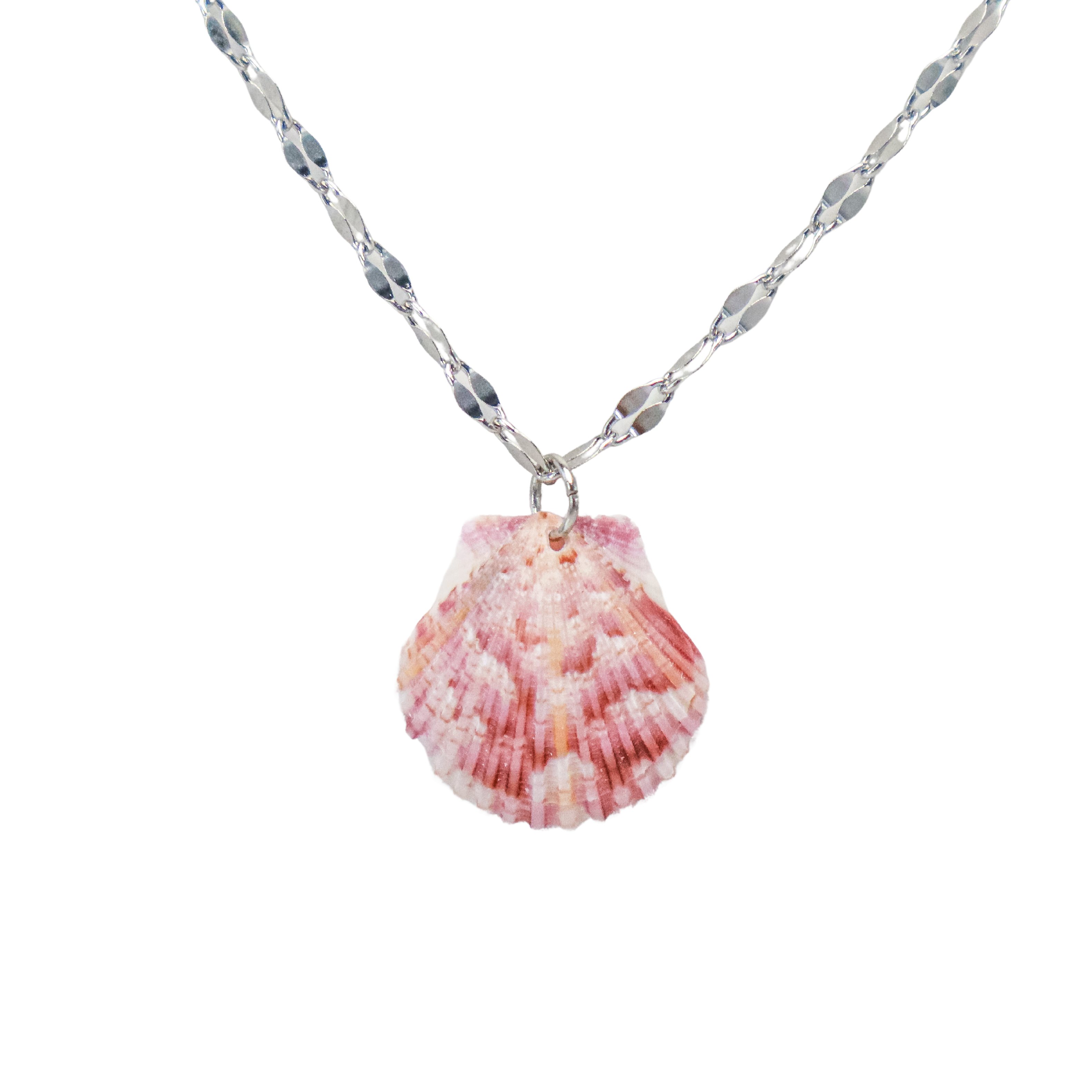 Oceania’s XS Tiny Pink Shell Necklace