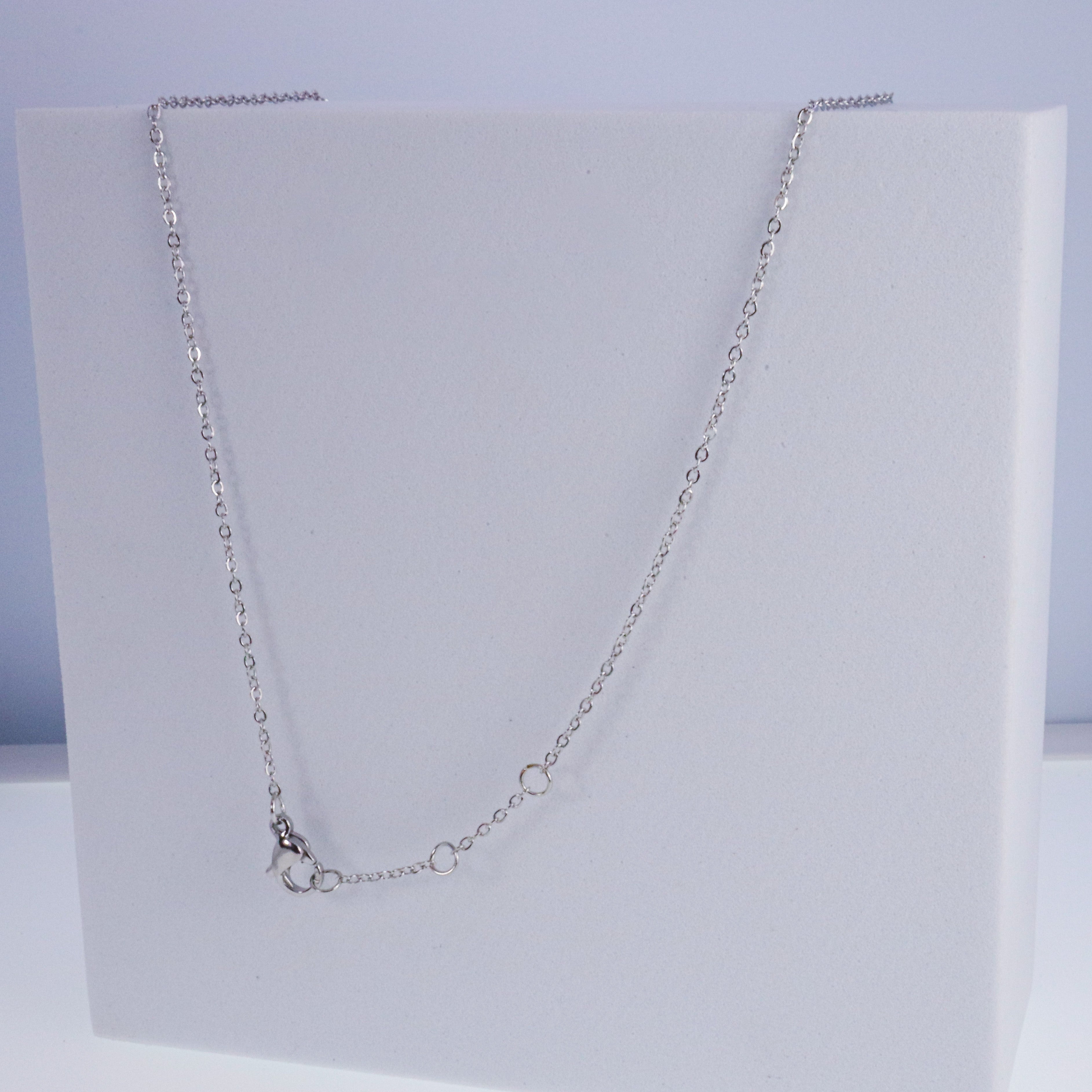 Delicate Silver Short Stainless Steel Necklace