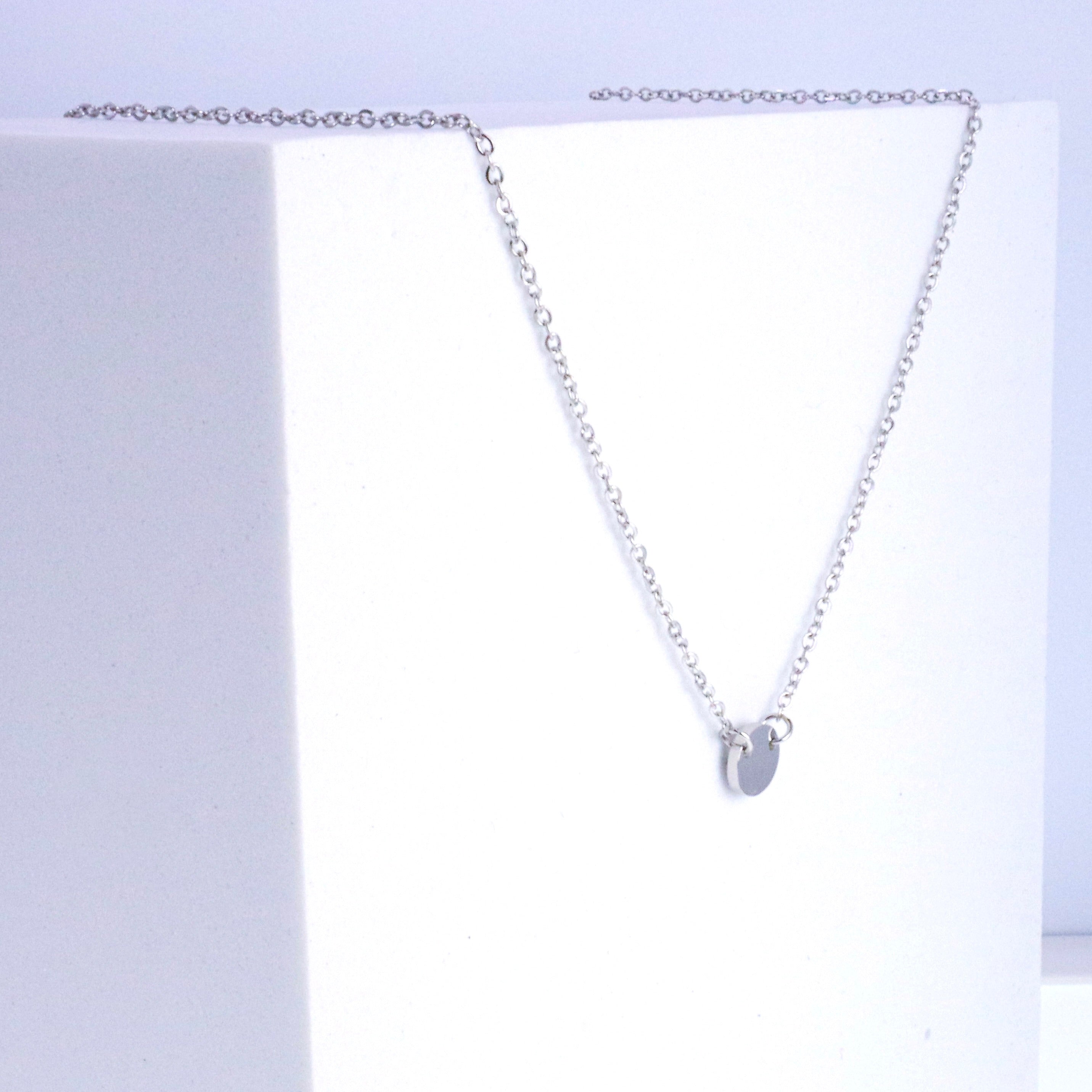 Delicate Silver Short Stainless Steel Necklace