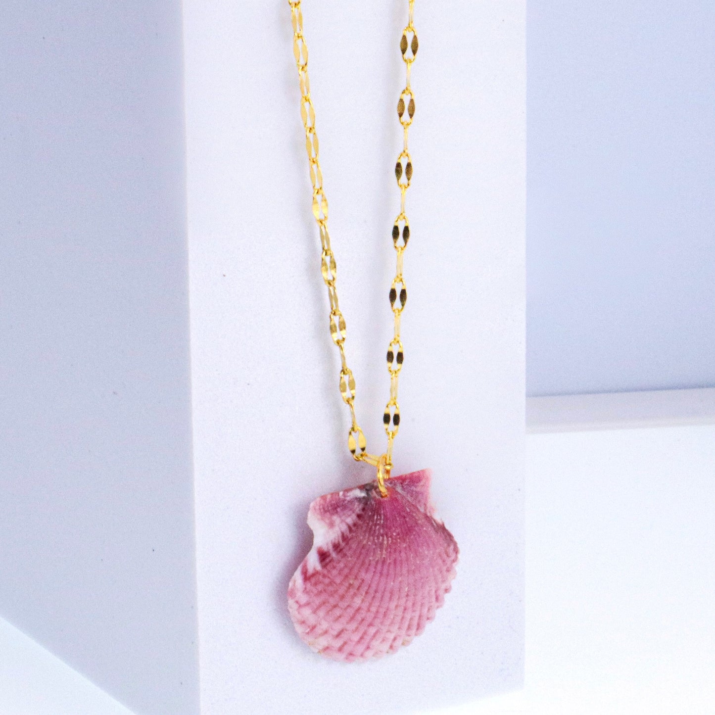 Calico Scallop Shell & 14k Gold over Stainless Steel Necklace