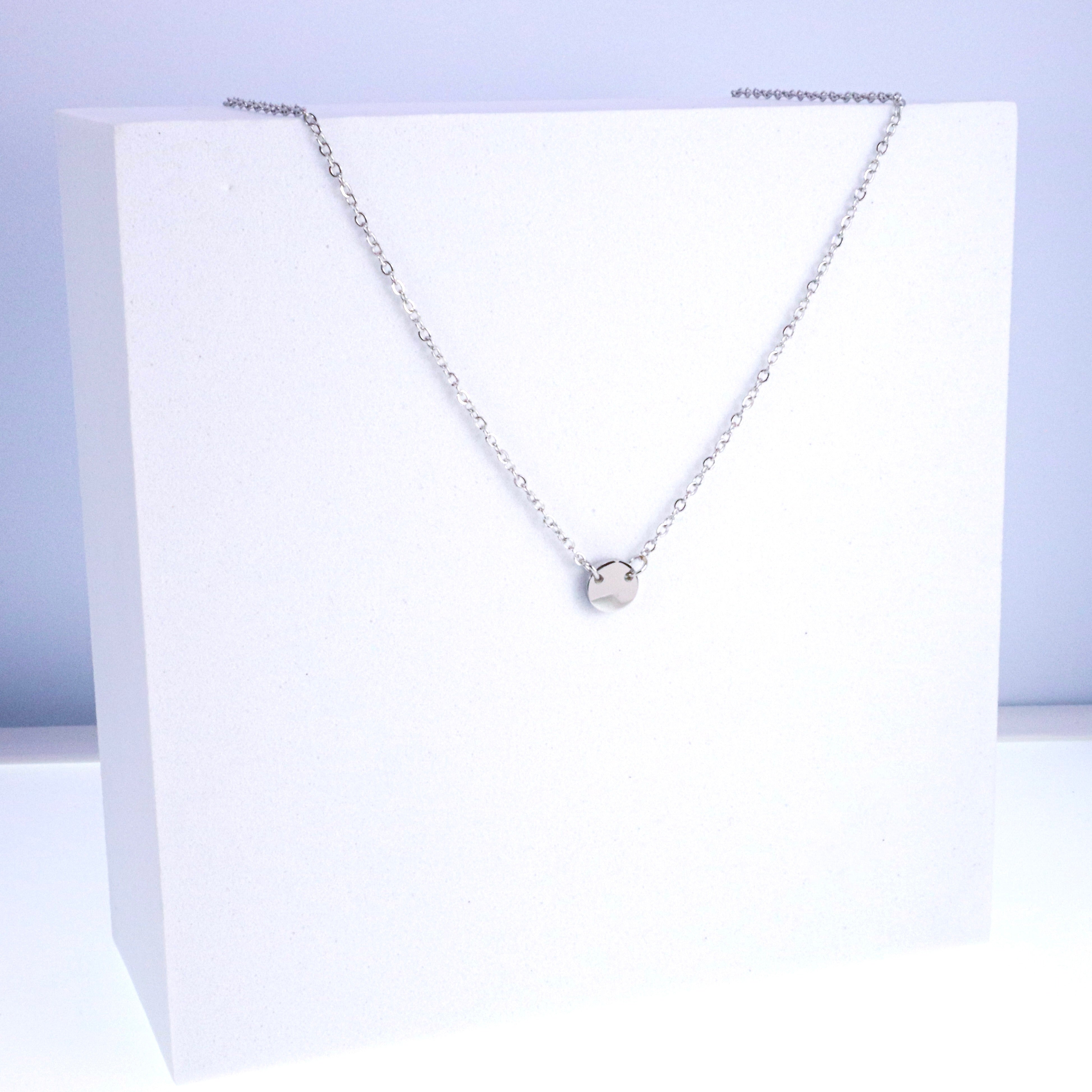 Delicate Silver Short Stainless Steel Necklace