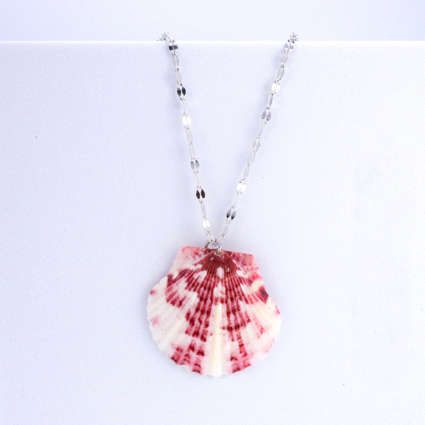Calico Scallop Shell & Stainless Steel Necklace